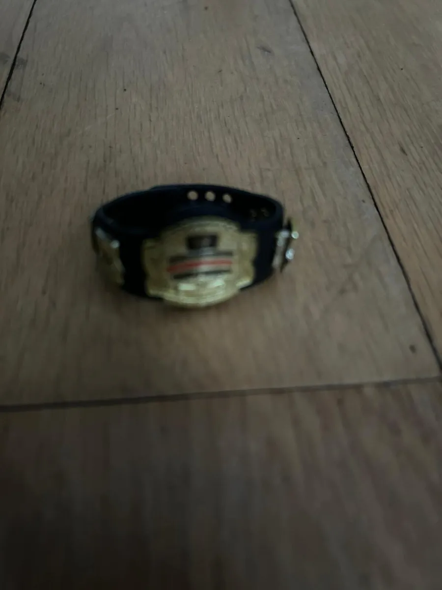 WWE Wrestling figures & ring - Image 3