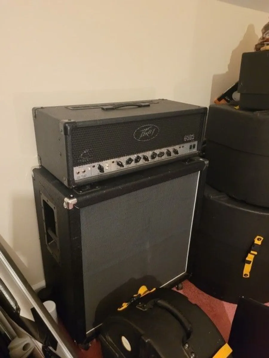 Peavey 6505 & Laney Cab - Image 1