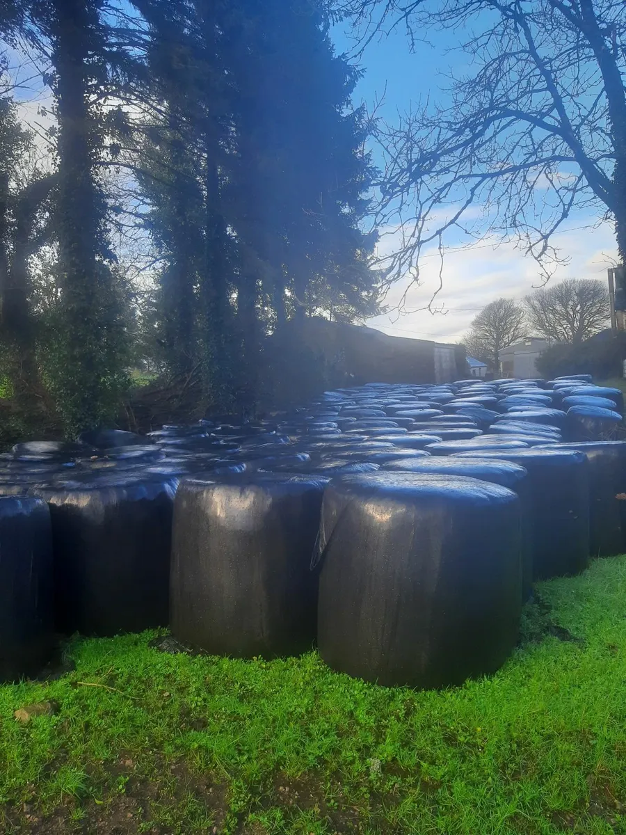 Round Silage Bales for sale
