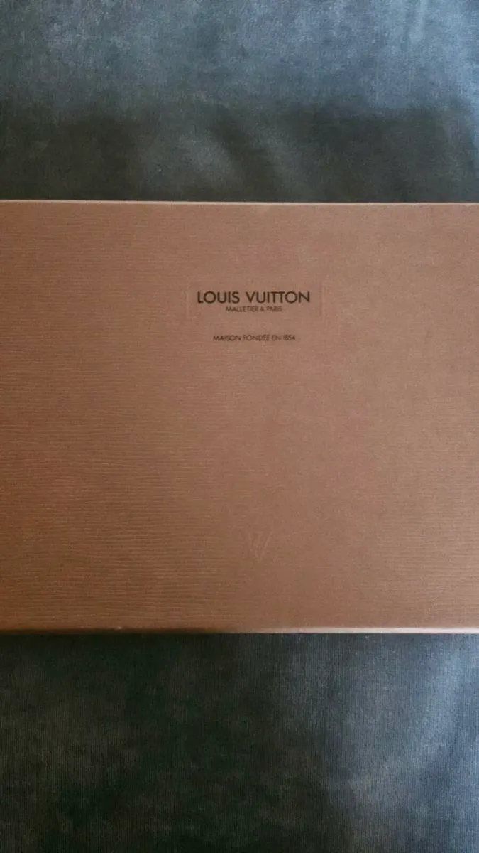 Louis Vuitton Neverfull Style Pouch - Image 4