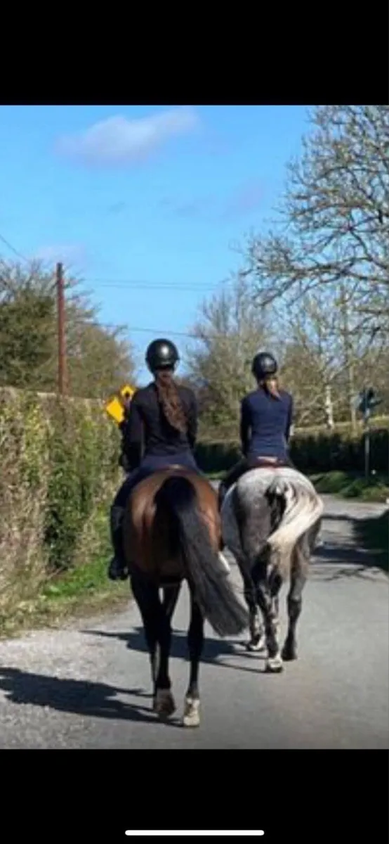 Livery €50 - Image 2