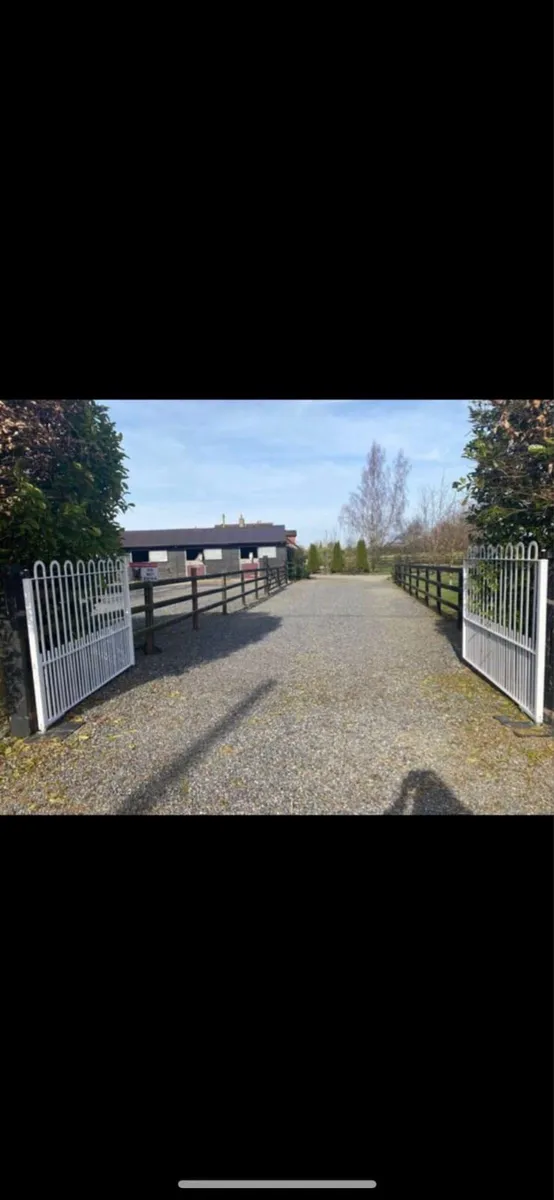 Livery €50 - Image 4