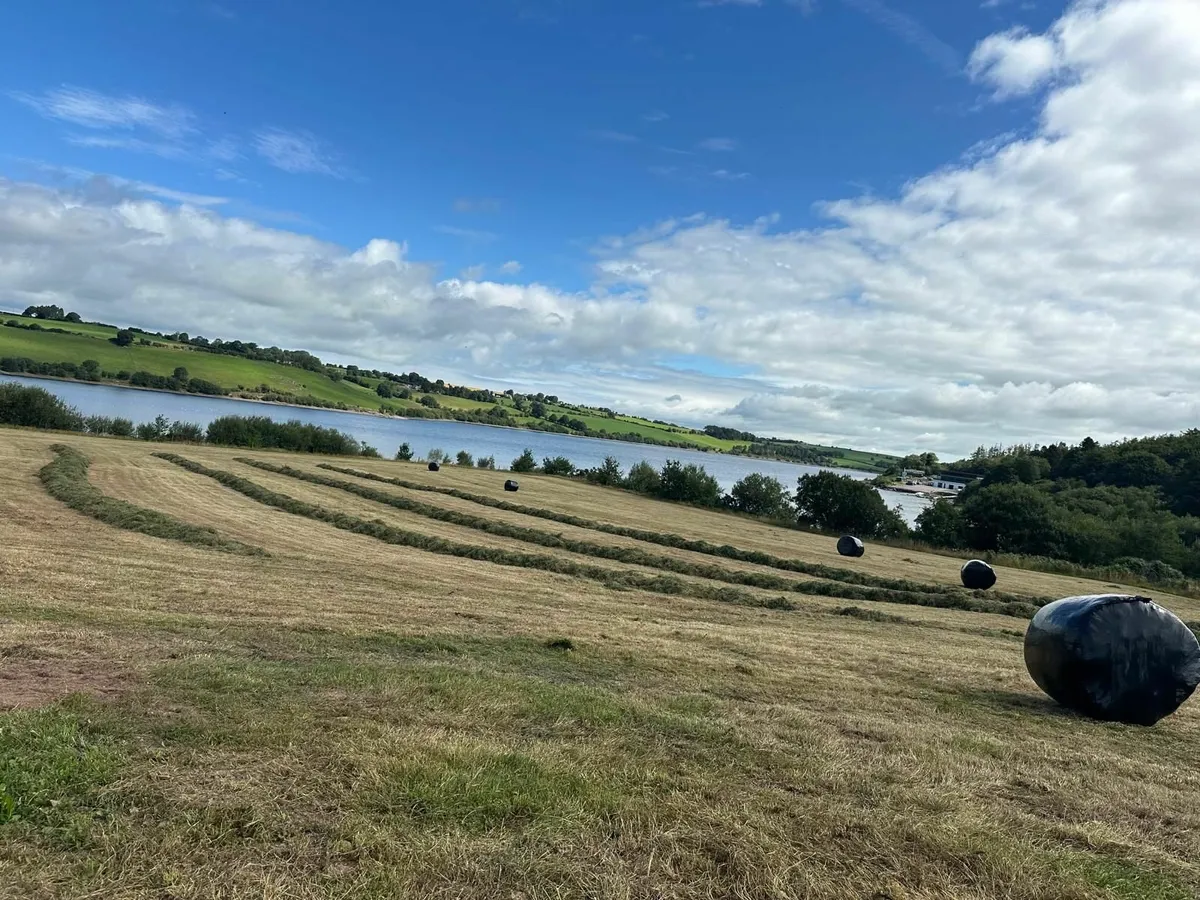 Silage Bales - Image 2