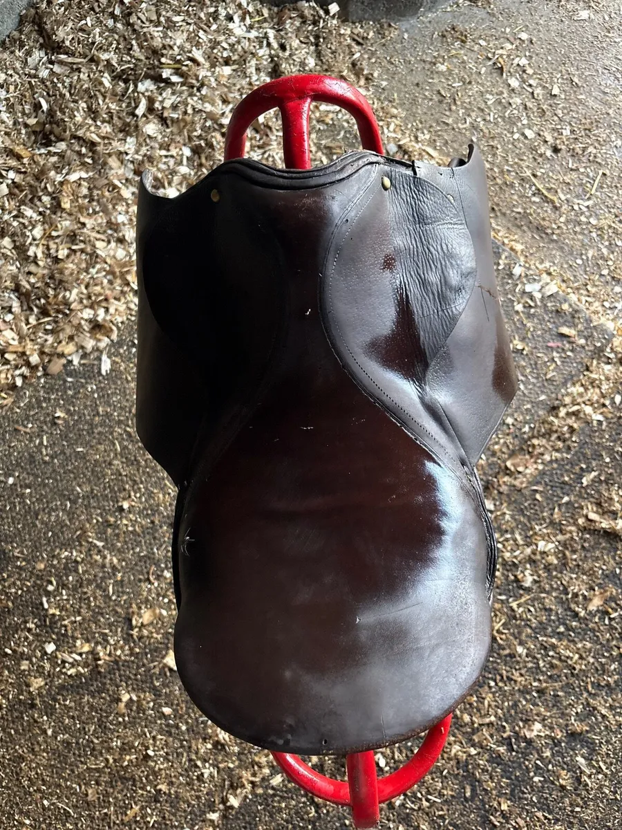 Black & Brown Saddles - Image 2