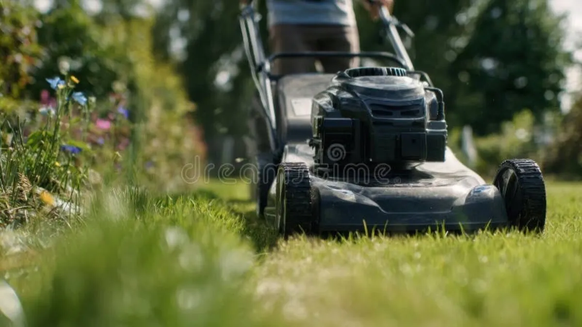 Garden clearance and grass cutt - Image 1