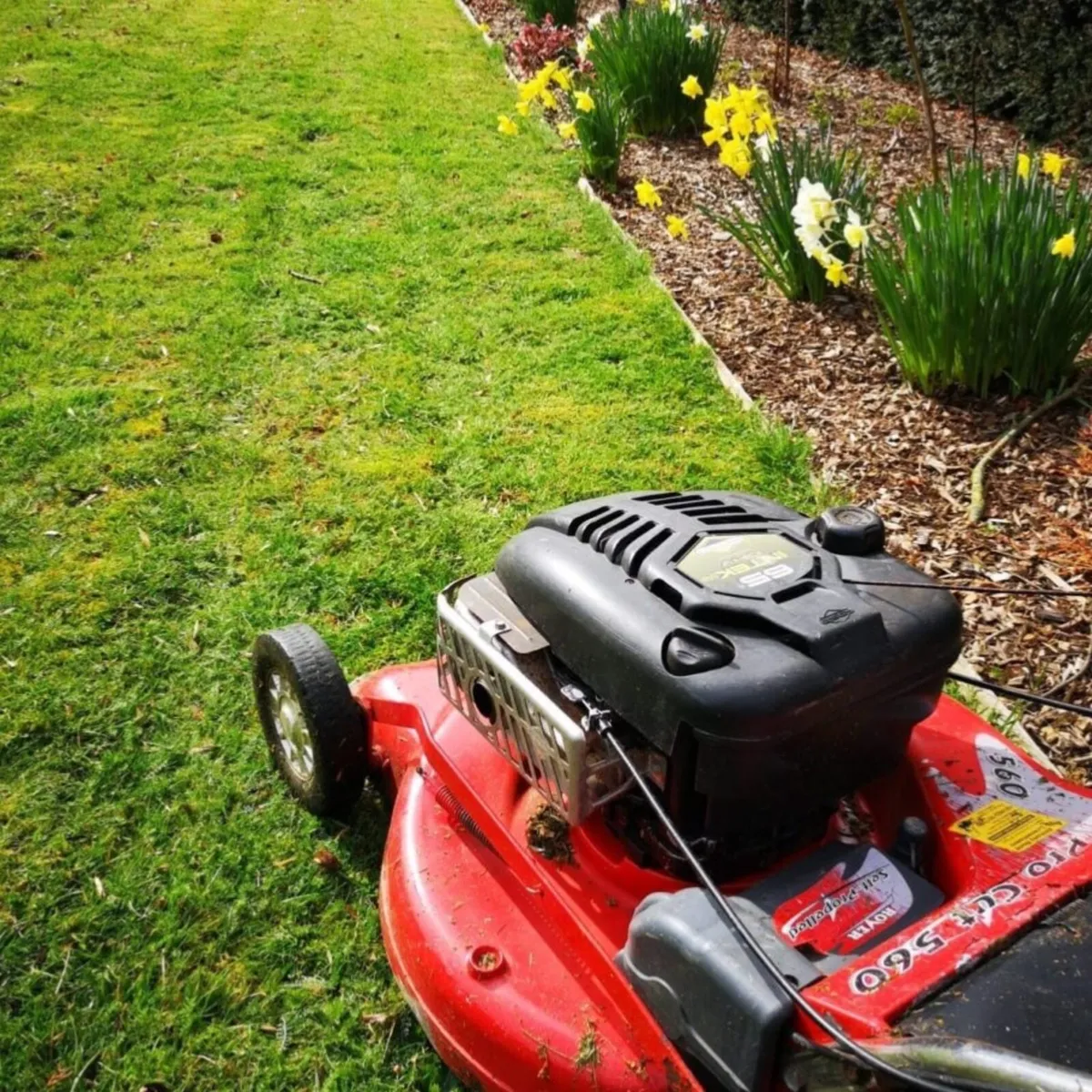Garden clearance and grass cutt - Image 3