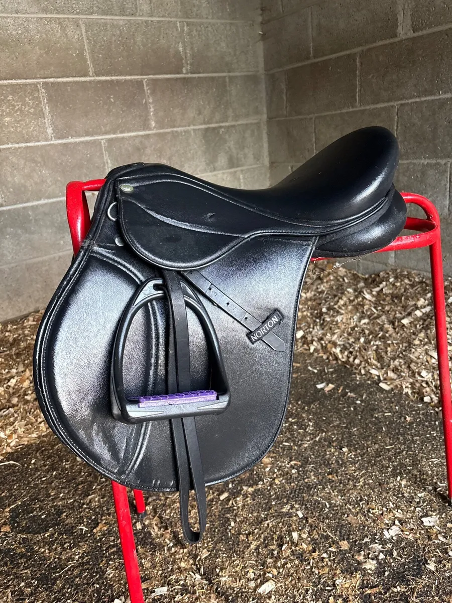 Black & Brown Saddles - Image 3