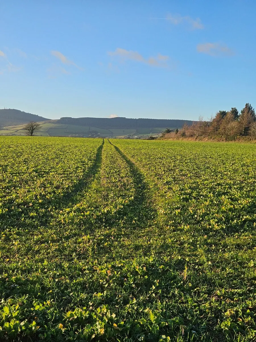 Tillage land Wanted - Image 1