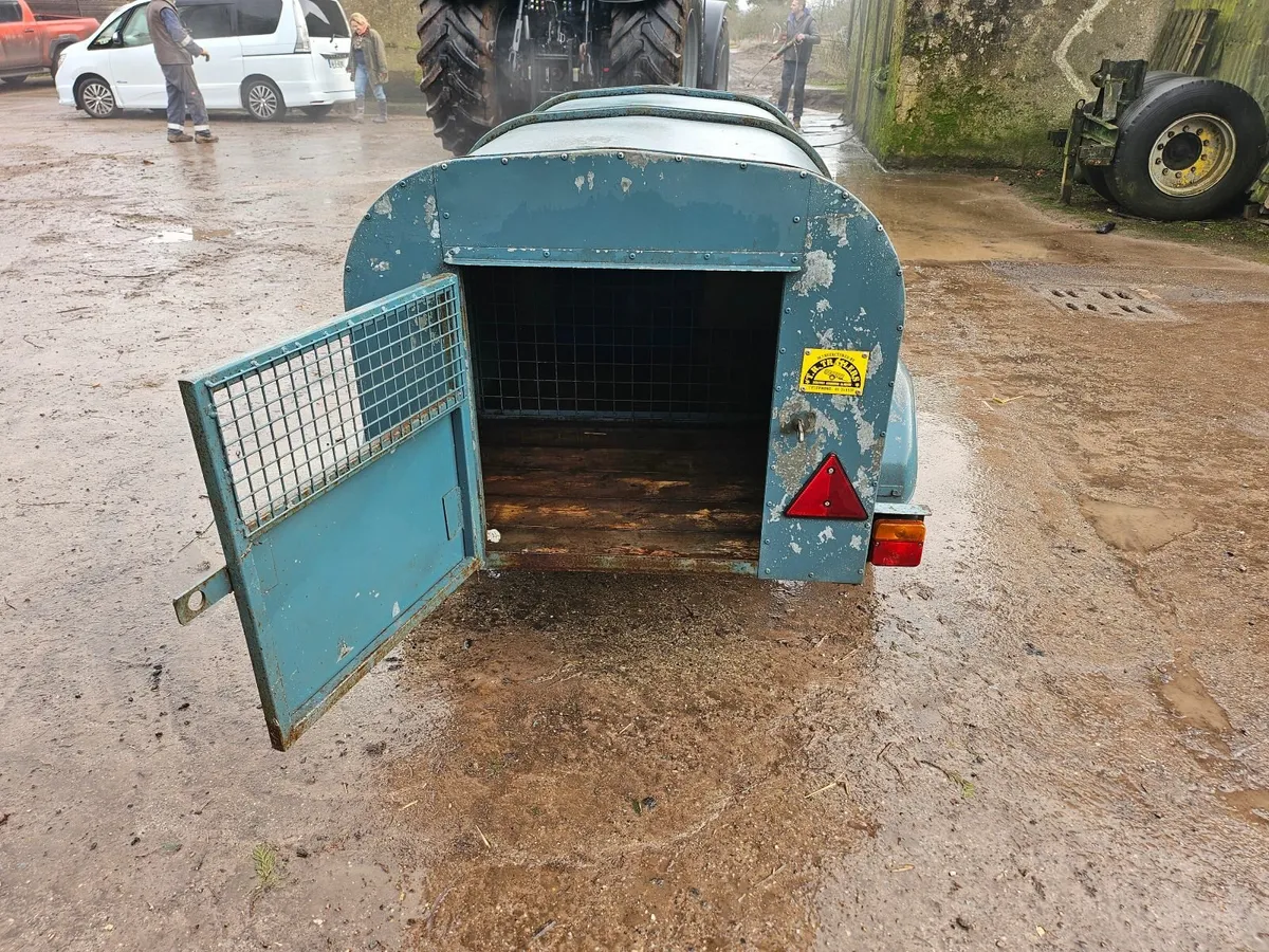 Dog box - Image 2