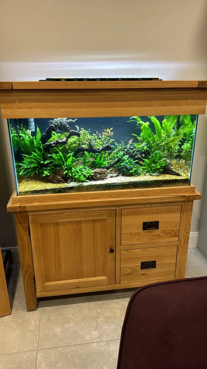 200 LTR Solid Oak Aquarium - Image 2