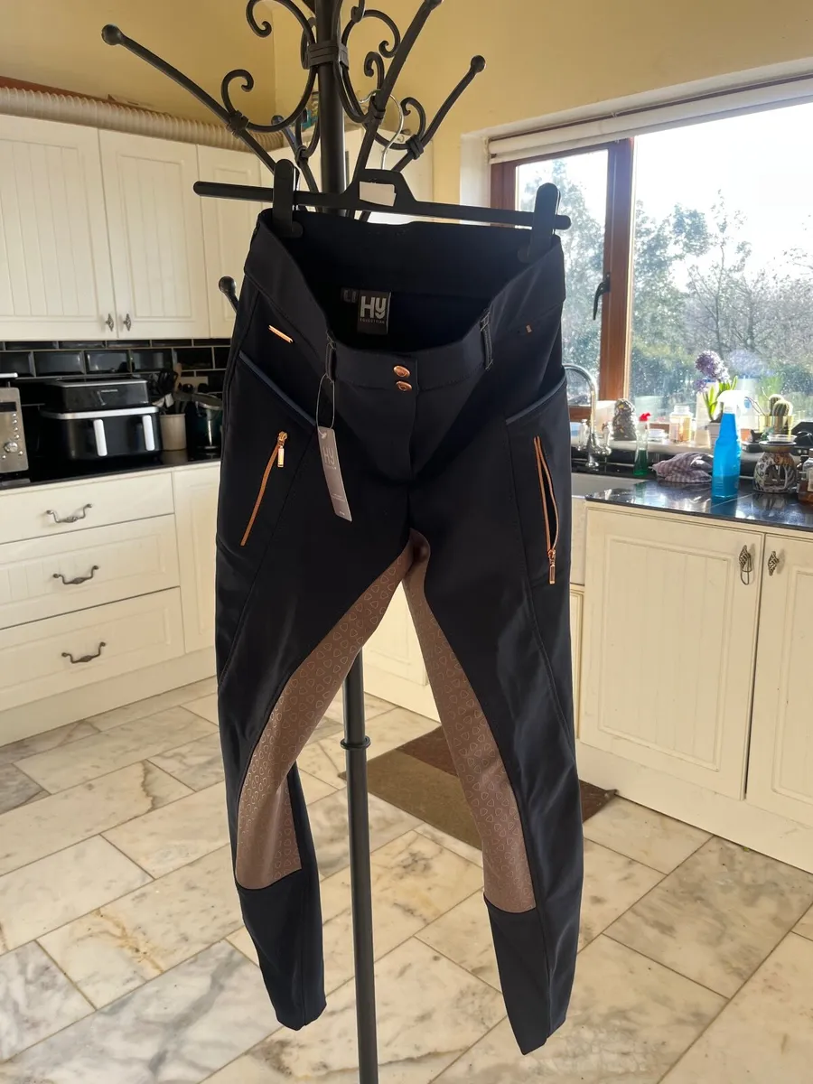 Horse equestrian Breech - Image 2