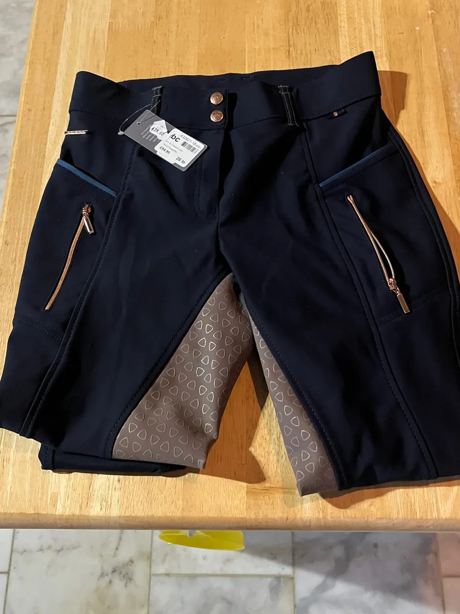 Horse equestrian Breech - Image 3