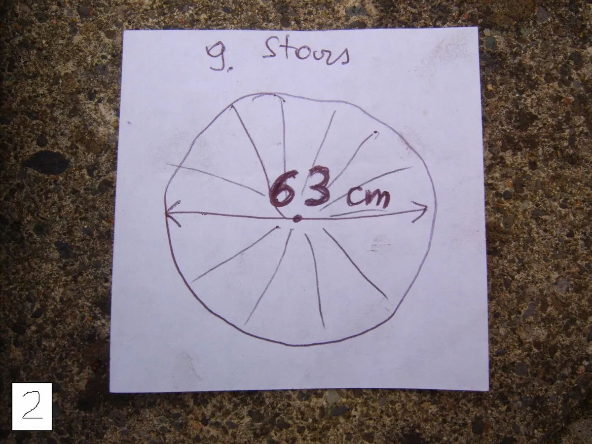 bicycle wheels - Image 3