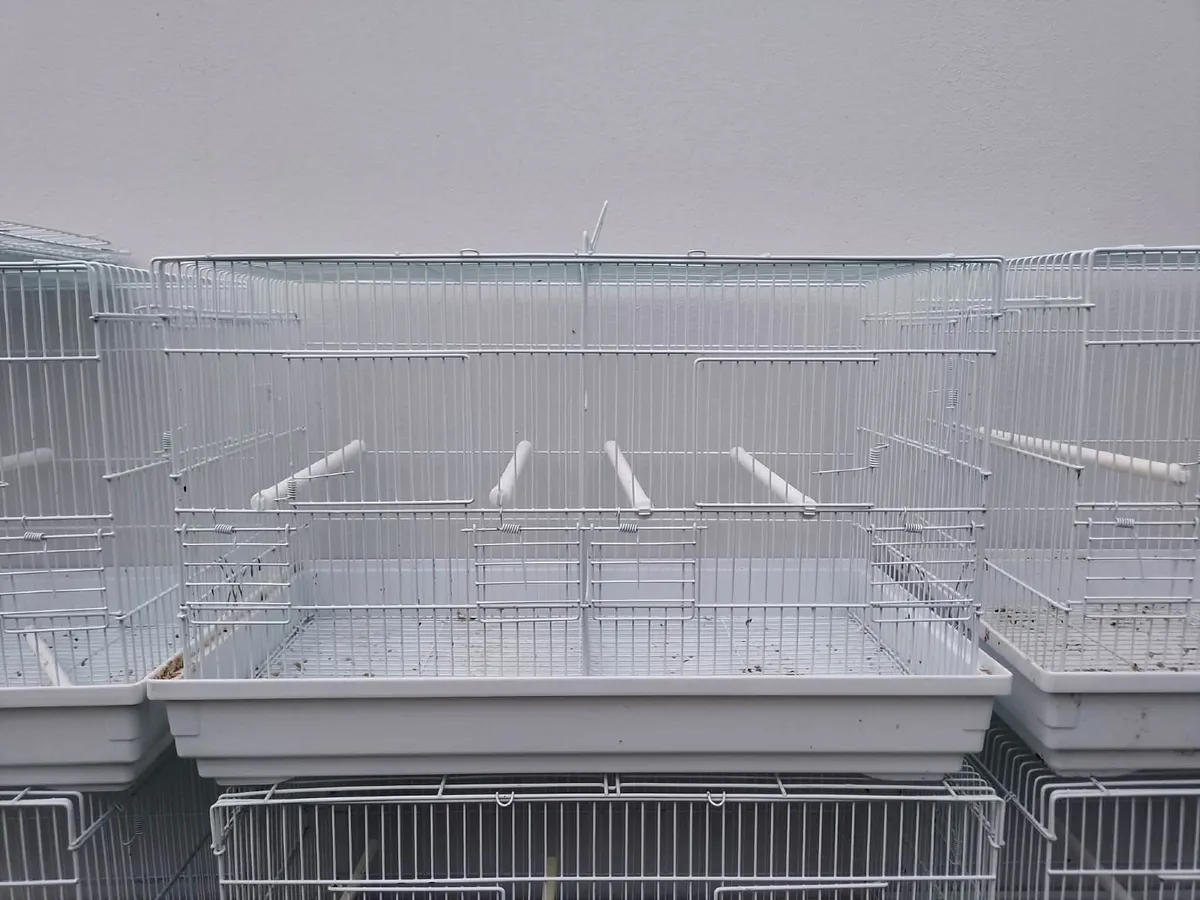 Block of 12 Double breeding cages - Image 2