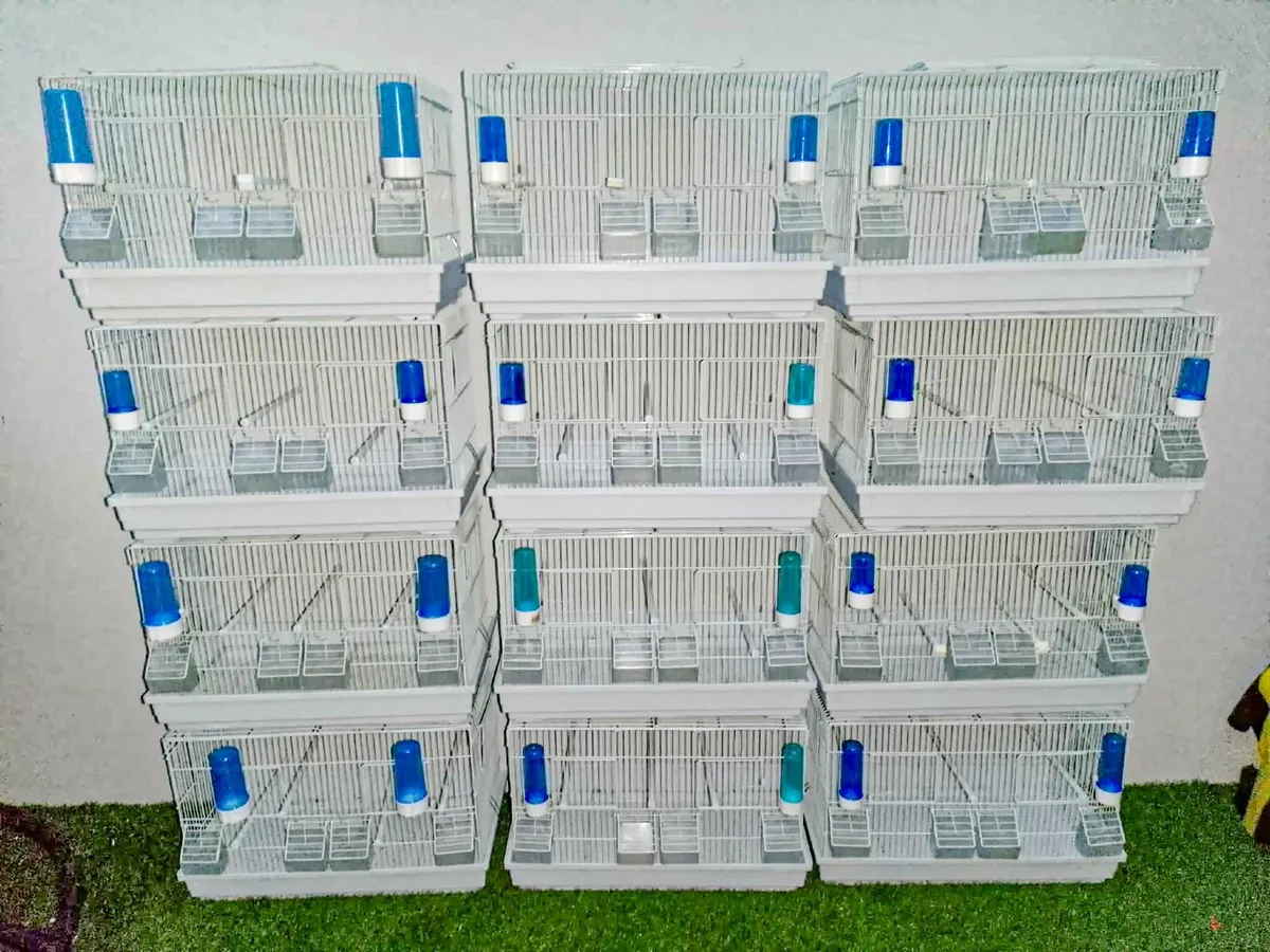 Block of 12 Double breeding cages - Image 1