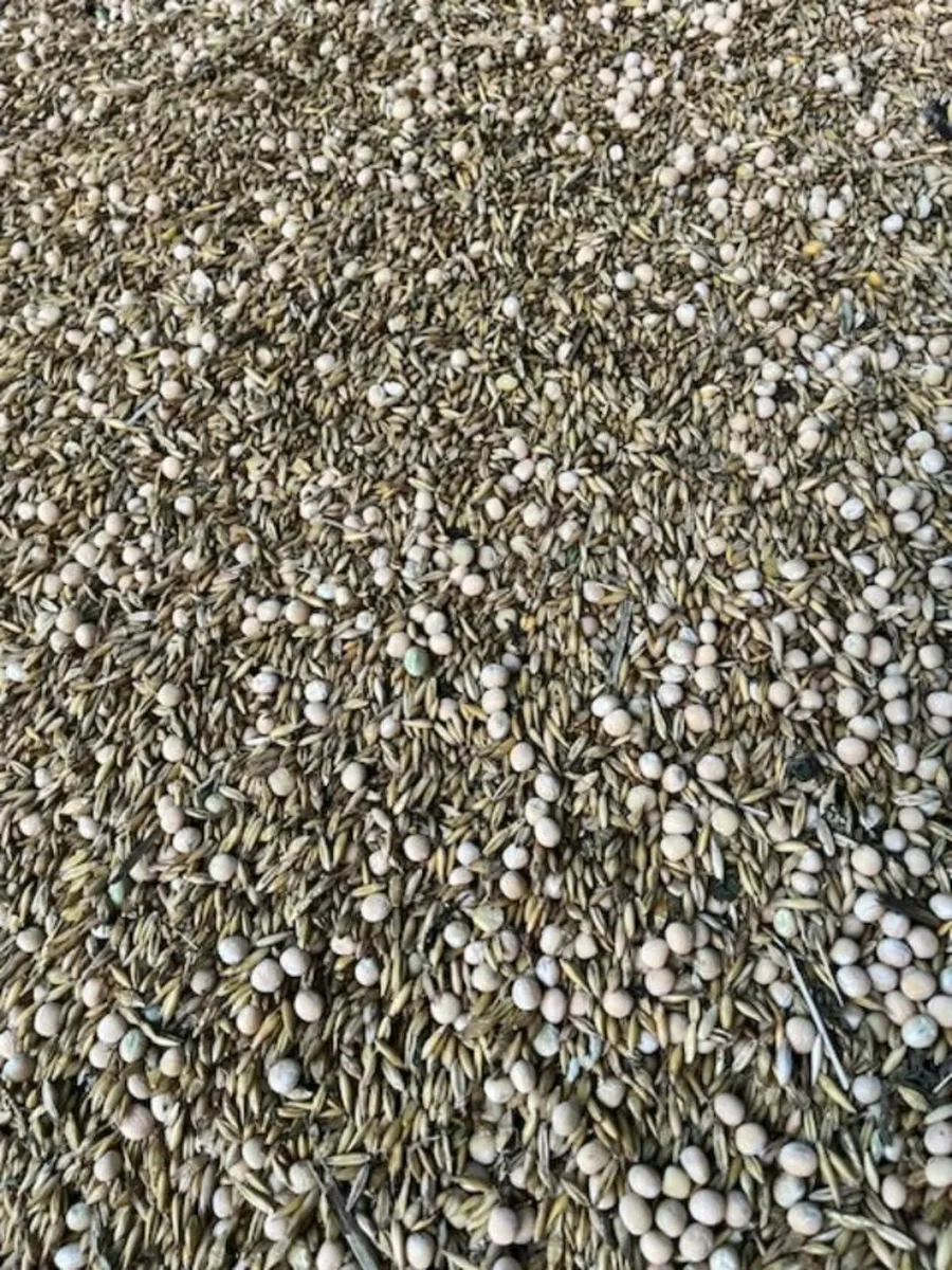 Organic Combi Crop - Image 2