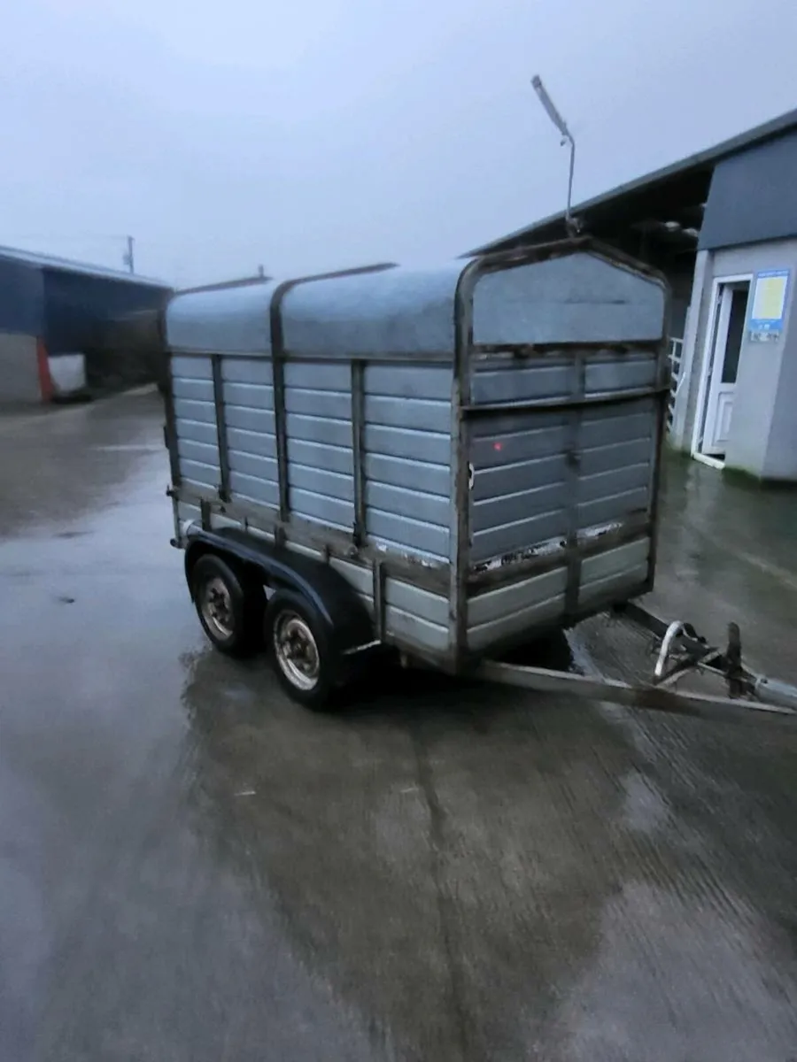 Cattle/ Builders trailer - Image 1