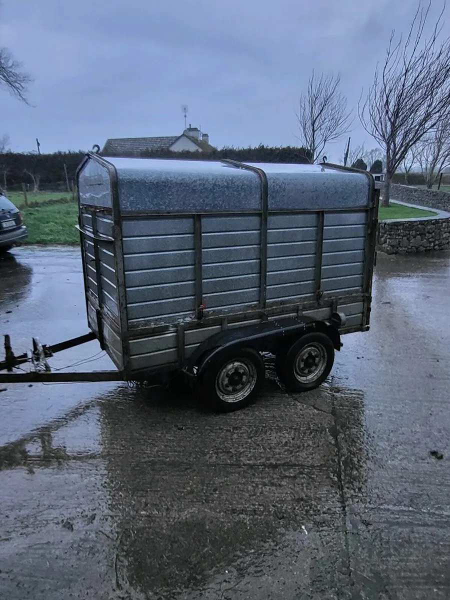 Cattle/ Builders trailer - Image 2