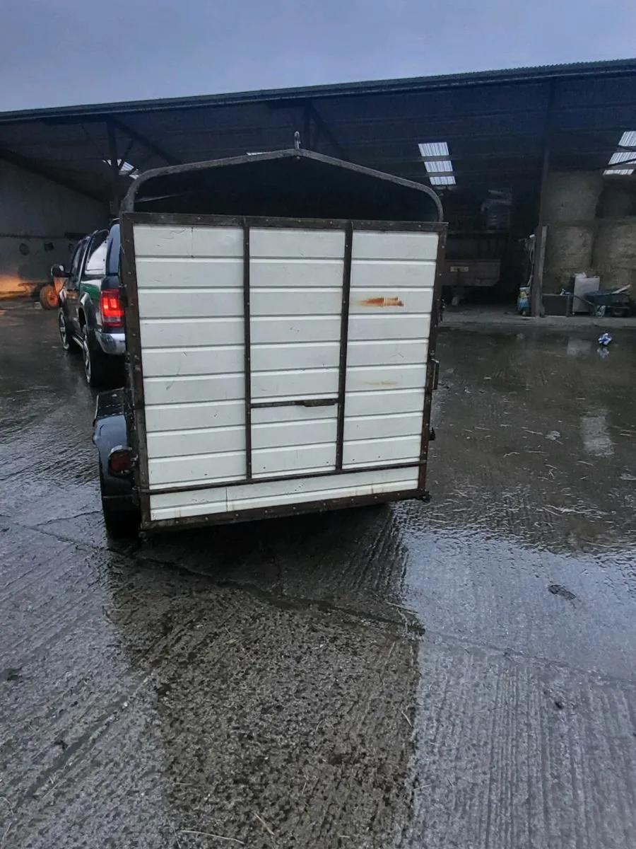 Cattle/ Builders trailer - Image 3