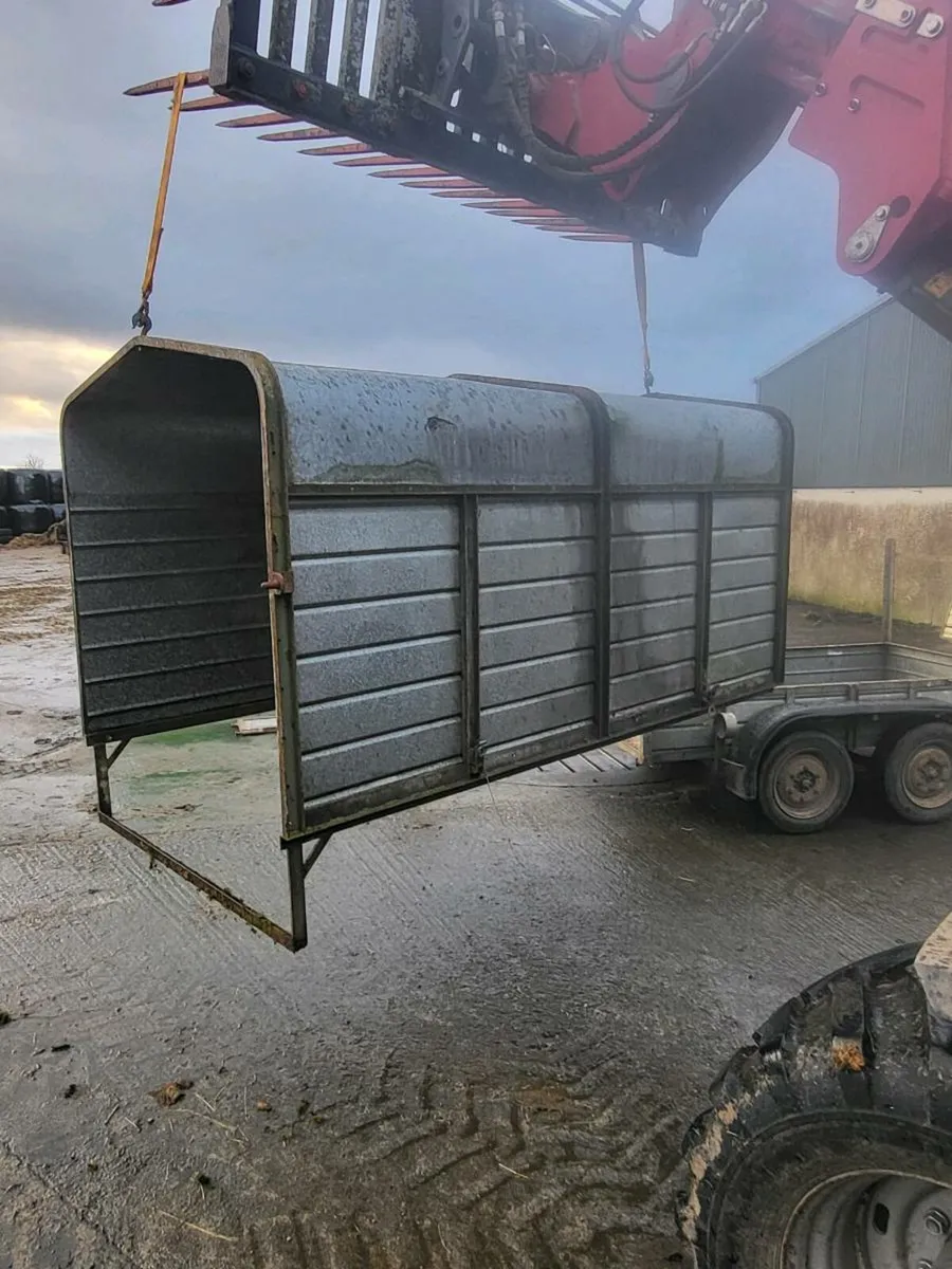 Cattle/ Builders trailer - Image 4