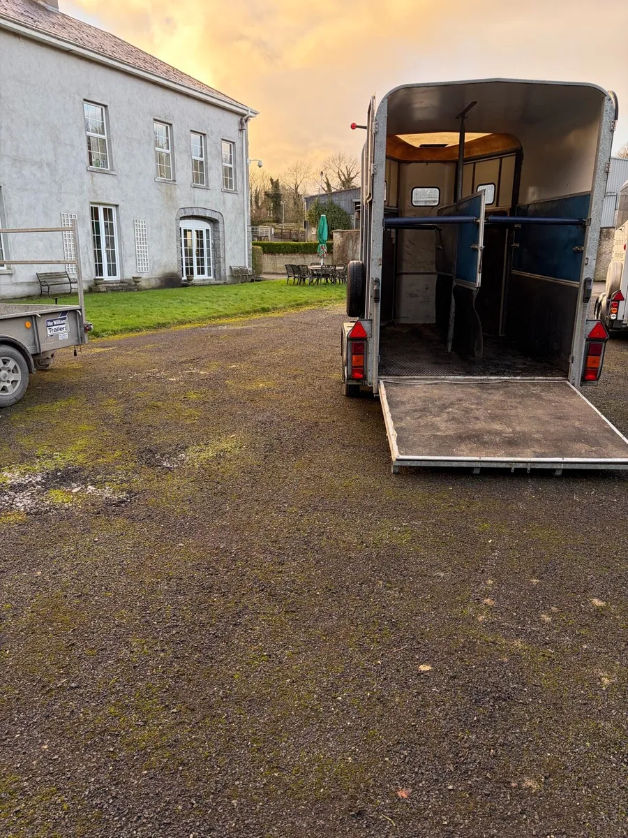 510 horse box - Image 3