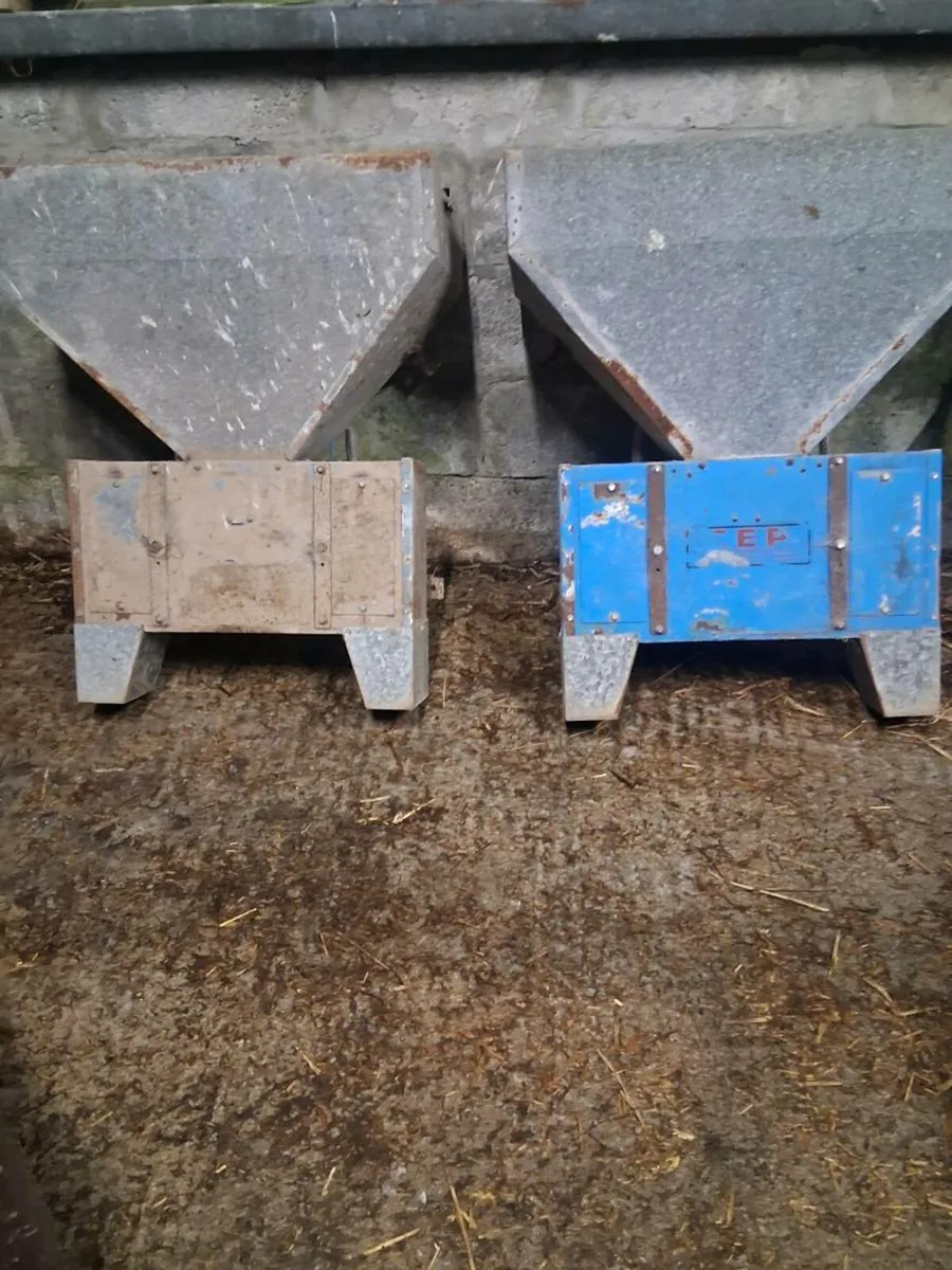 Cashman feeders - Image 1
