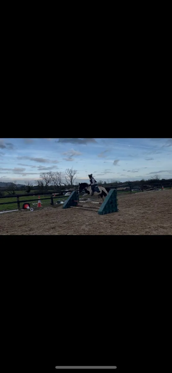 13.1 18year old mare - Image 1