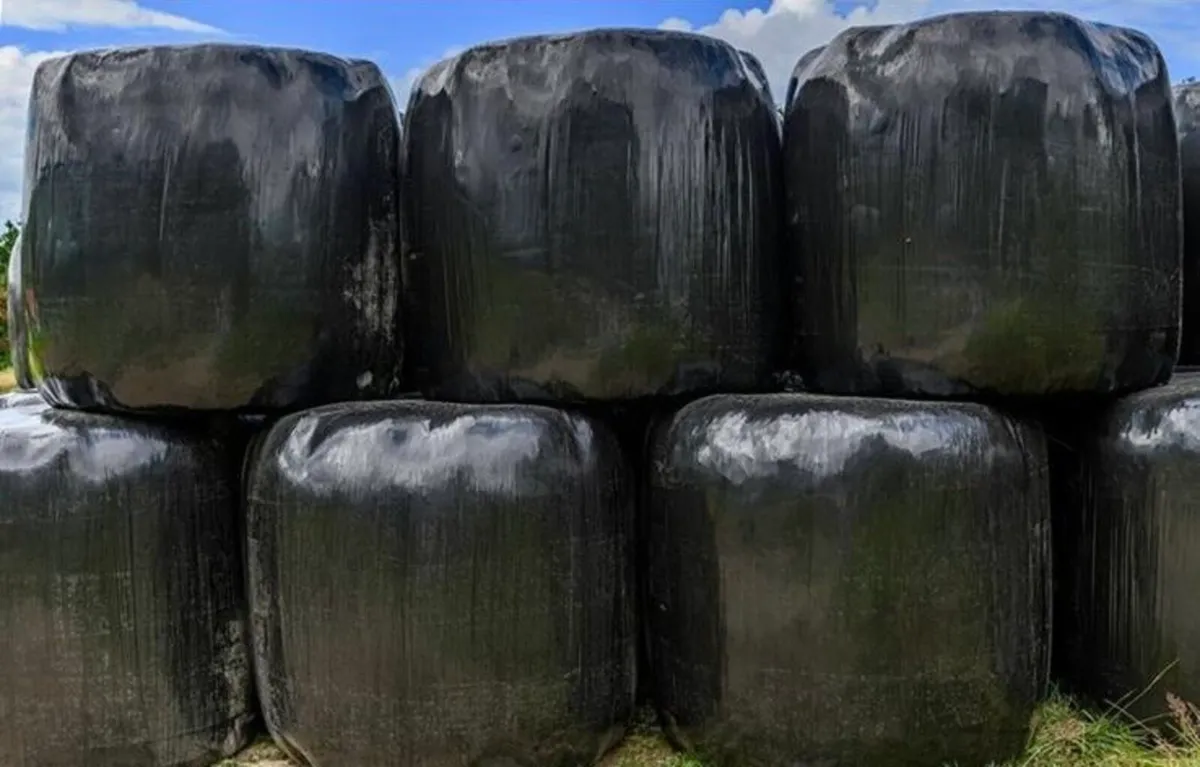 Silage Bales