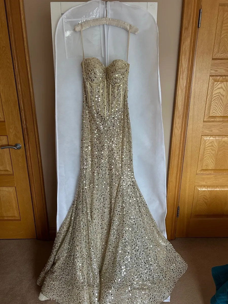 Dani’s Closet Debs Dress - Image 4
