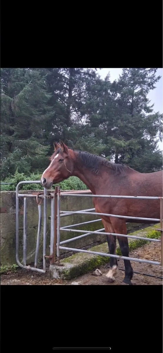 Re advertising due to time wasters - Image 2