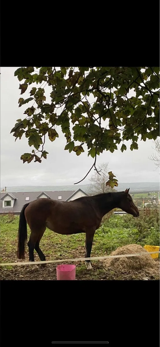 Re advertising due to time wasters - Image 3