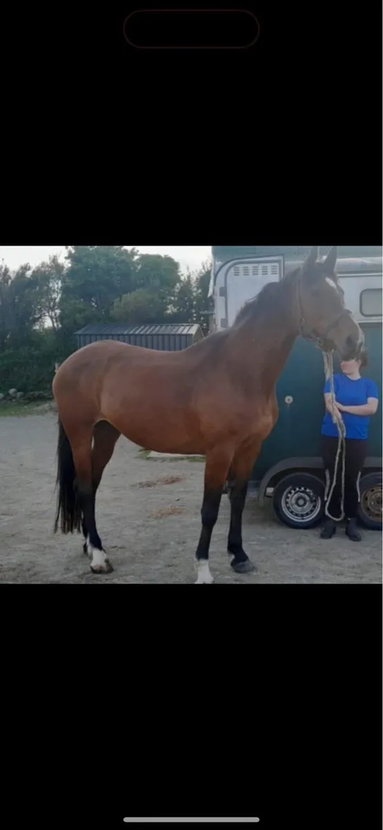 Re advertising due to time wasters - Image 4