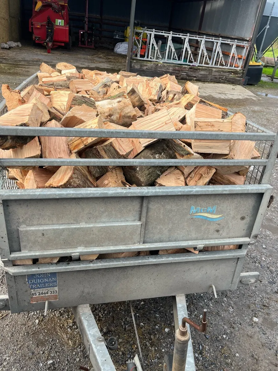 Ash fire wood - Image 3