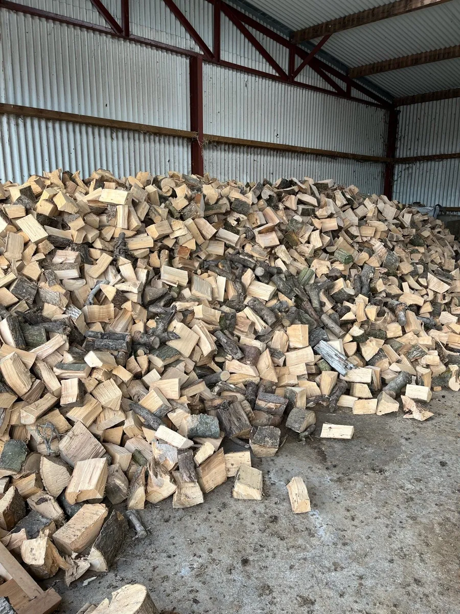 Ash fire wood - Image 1