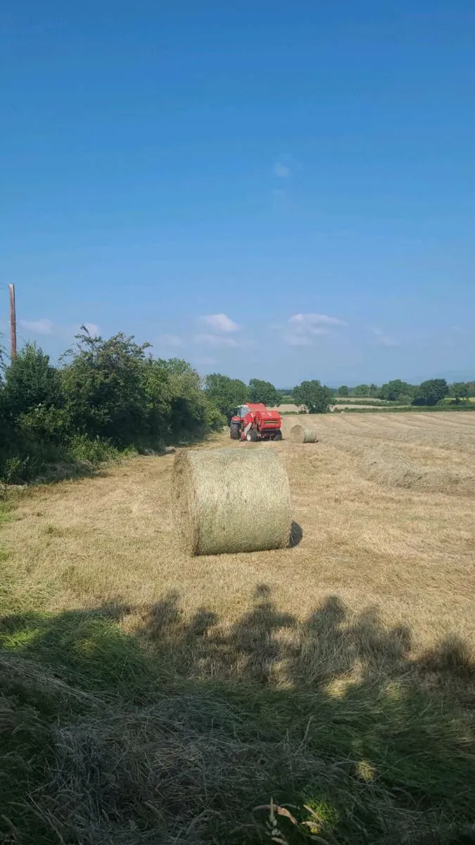 Good quality Hay and silage - Image 1