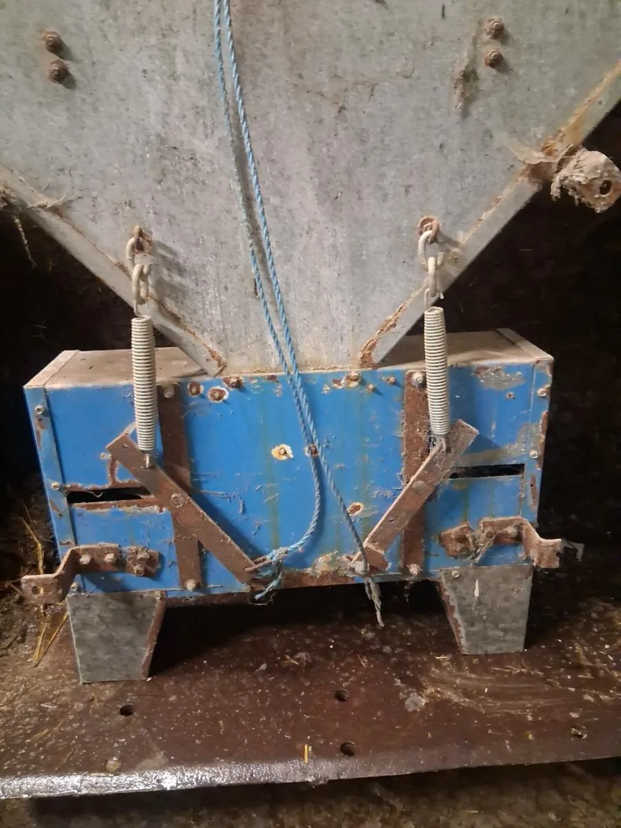 Cashman feeders - Image 2