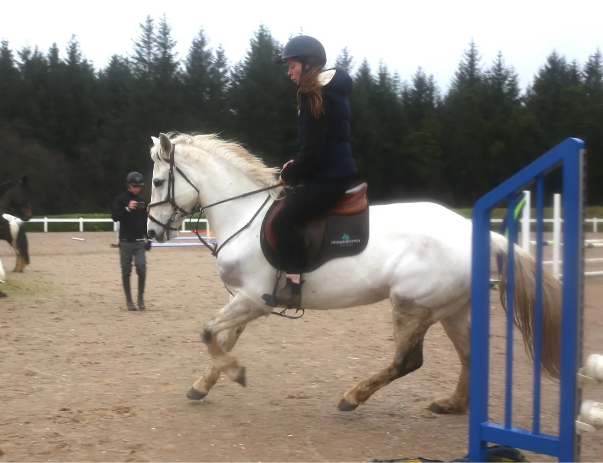 148 class one Connemara - Image 2