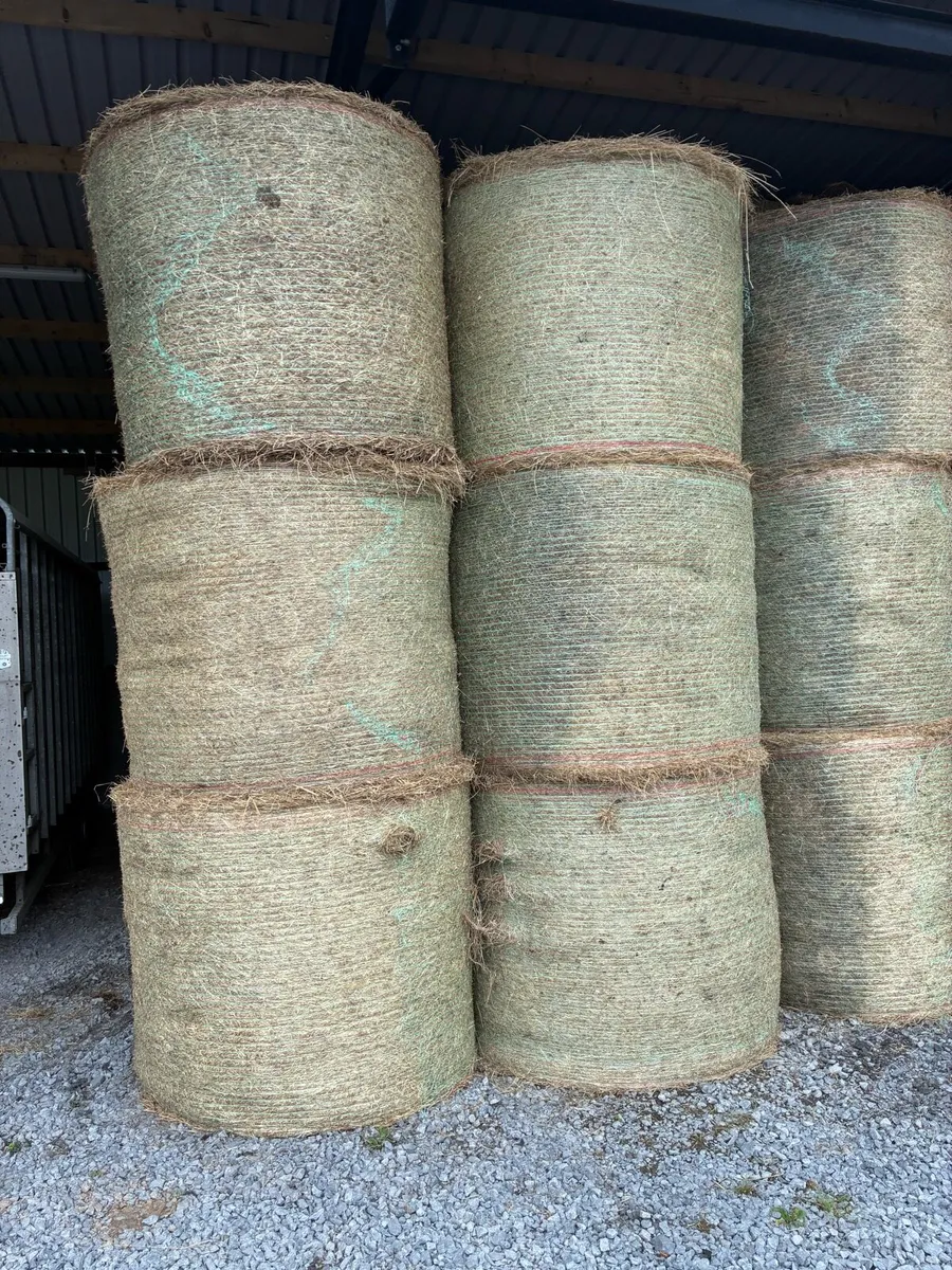 Hay and Silage - Image 1