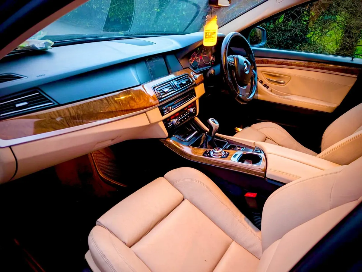2010 Bmw 520D - Image 2