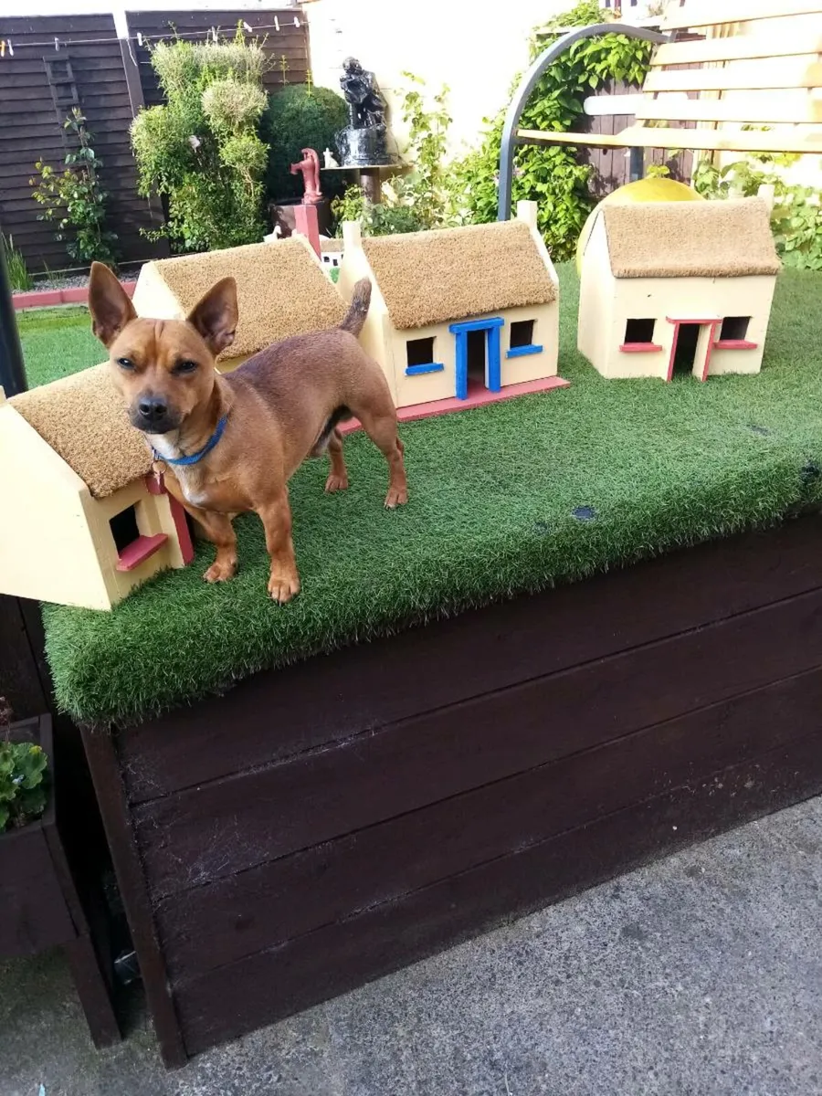 Miniature tach cottages for sale in Limerick - Image 1