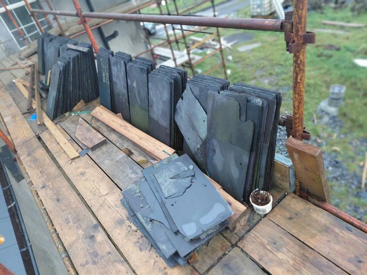 Blue bangor slates - Image 1