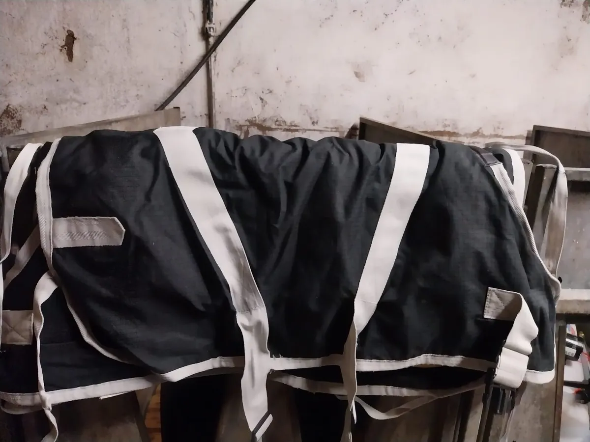 24 Calf Jackets - Image 1