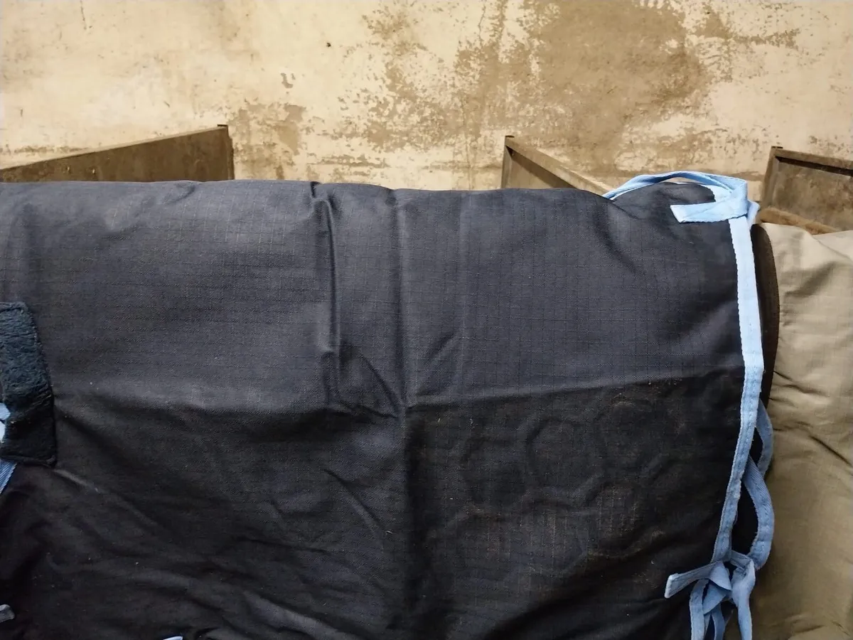 24 Calf Jackets - Image 4