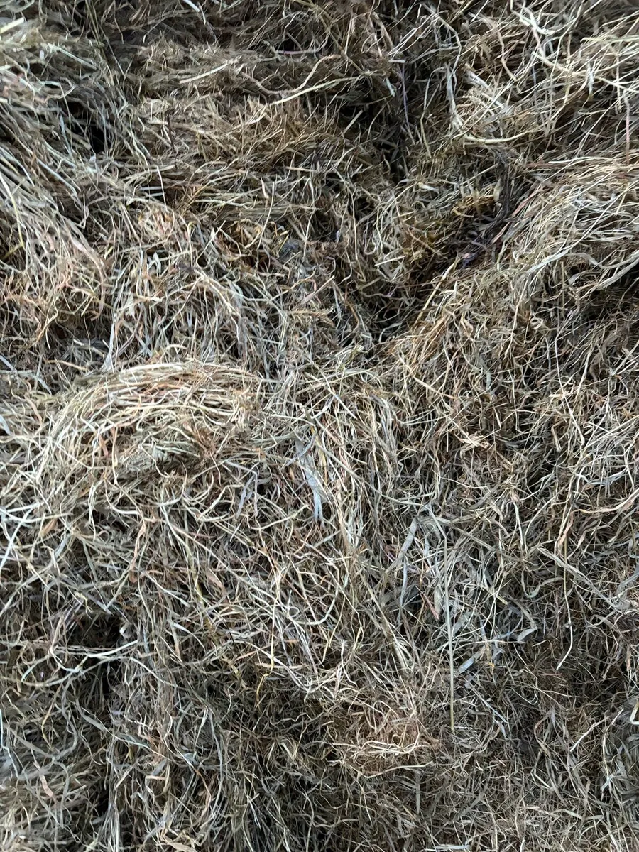 Silage for sale - Image 1
