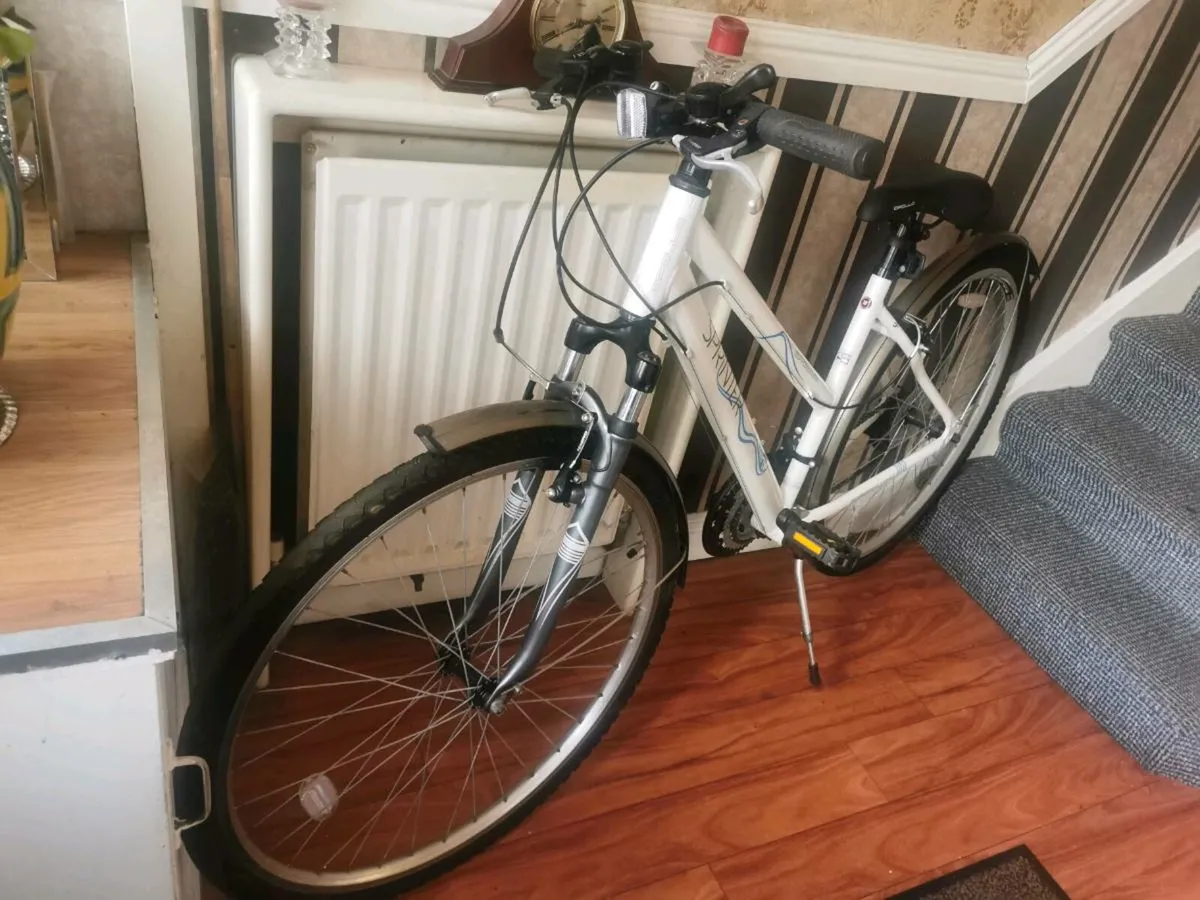 Ladies Bike - Image 3