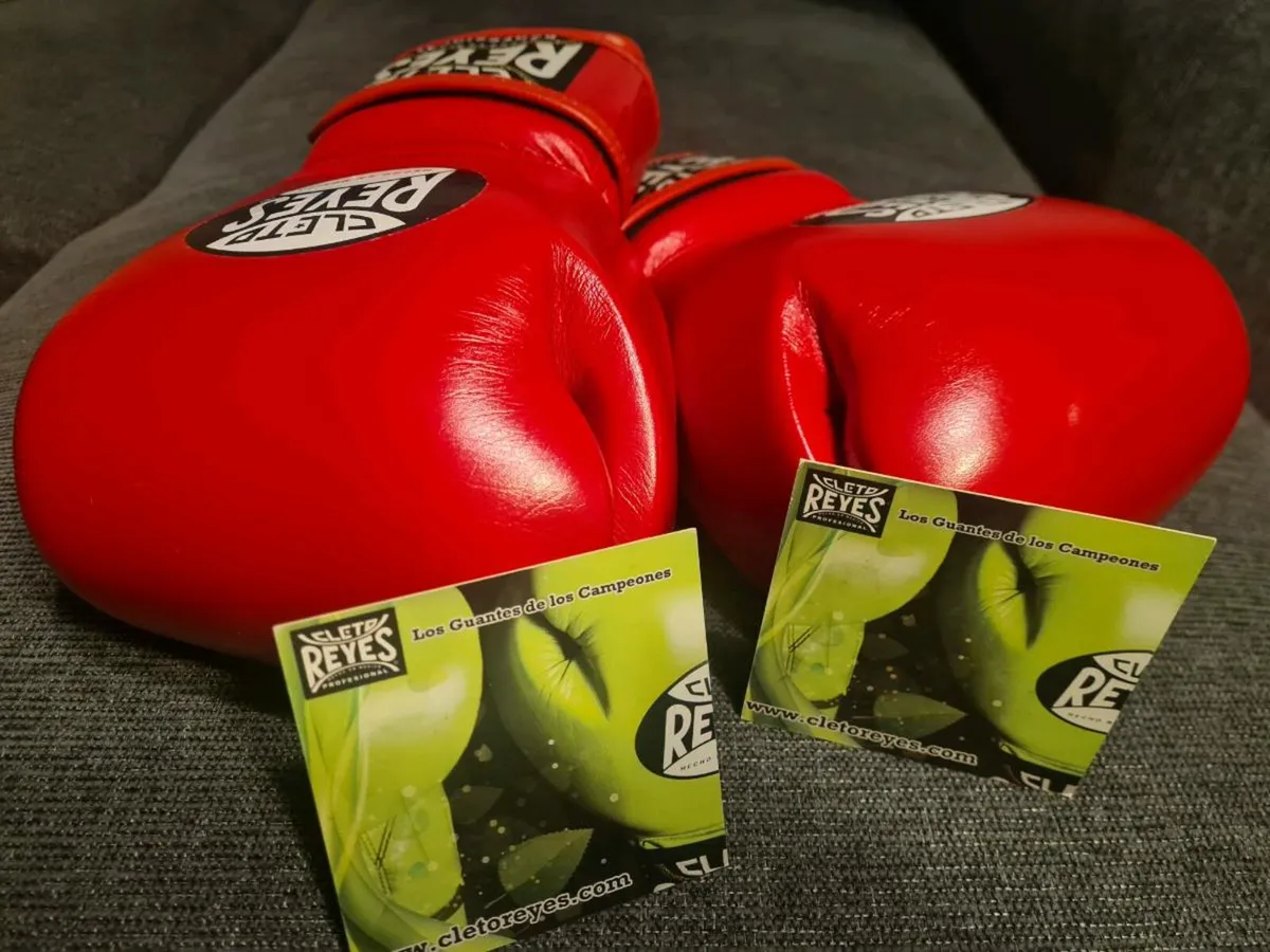 Reyes 16oz sparring gloves - Image 1