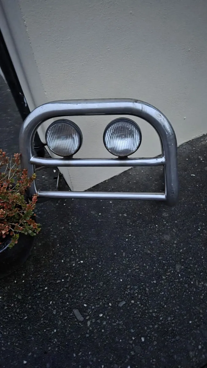 Bull bar - Image 2