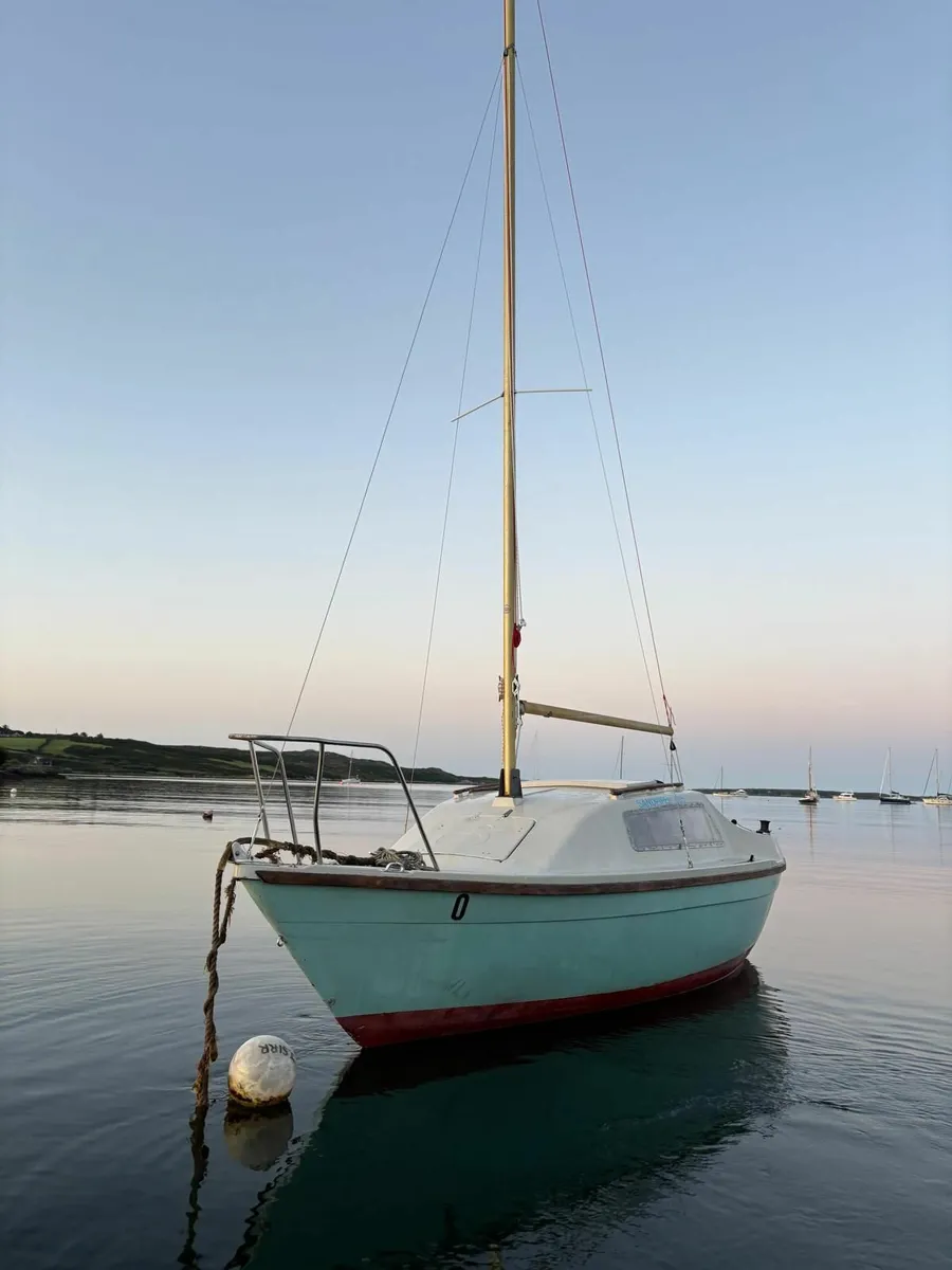 Boat, Trailer and Outboard Motor for Sale - Image 1