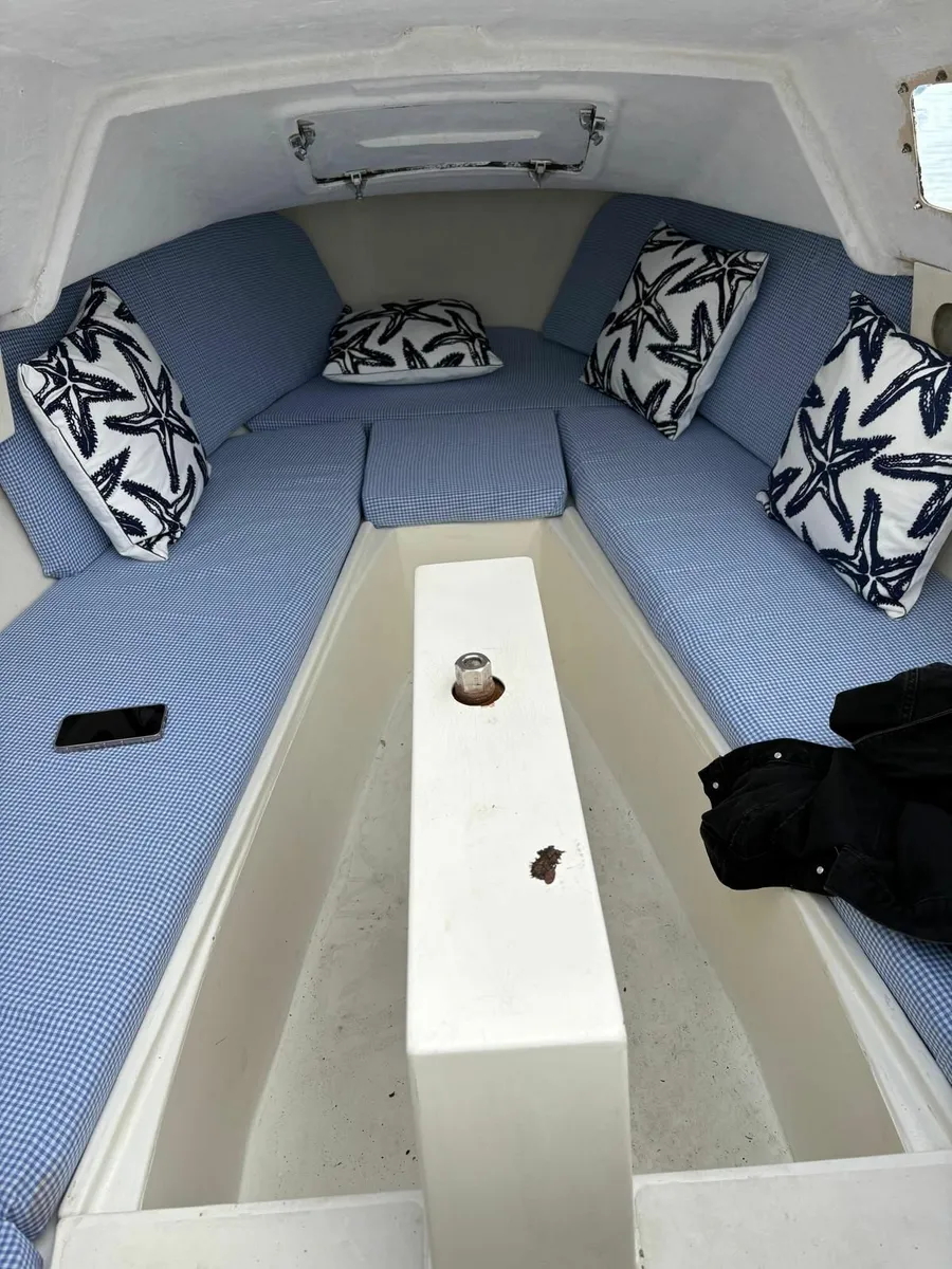 Boat, Trailer and Outboard Motor for Sale - Image 2