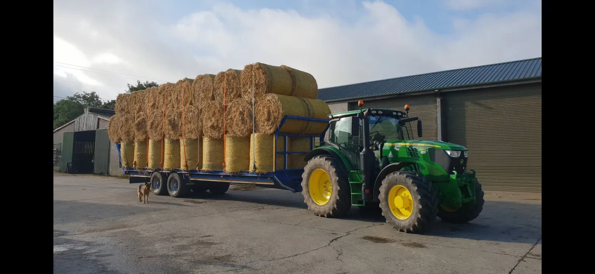 Barley, oat and wheat straw - Image 4